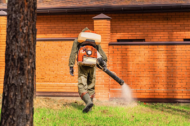 Top rated local Ant Control specialists in Dodson Branch, TN